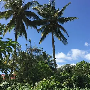 En Pleine Verdure Tropicale -10 Min Appartement